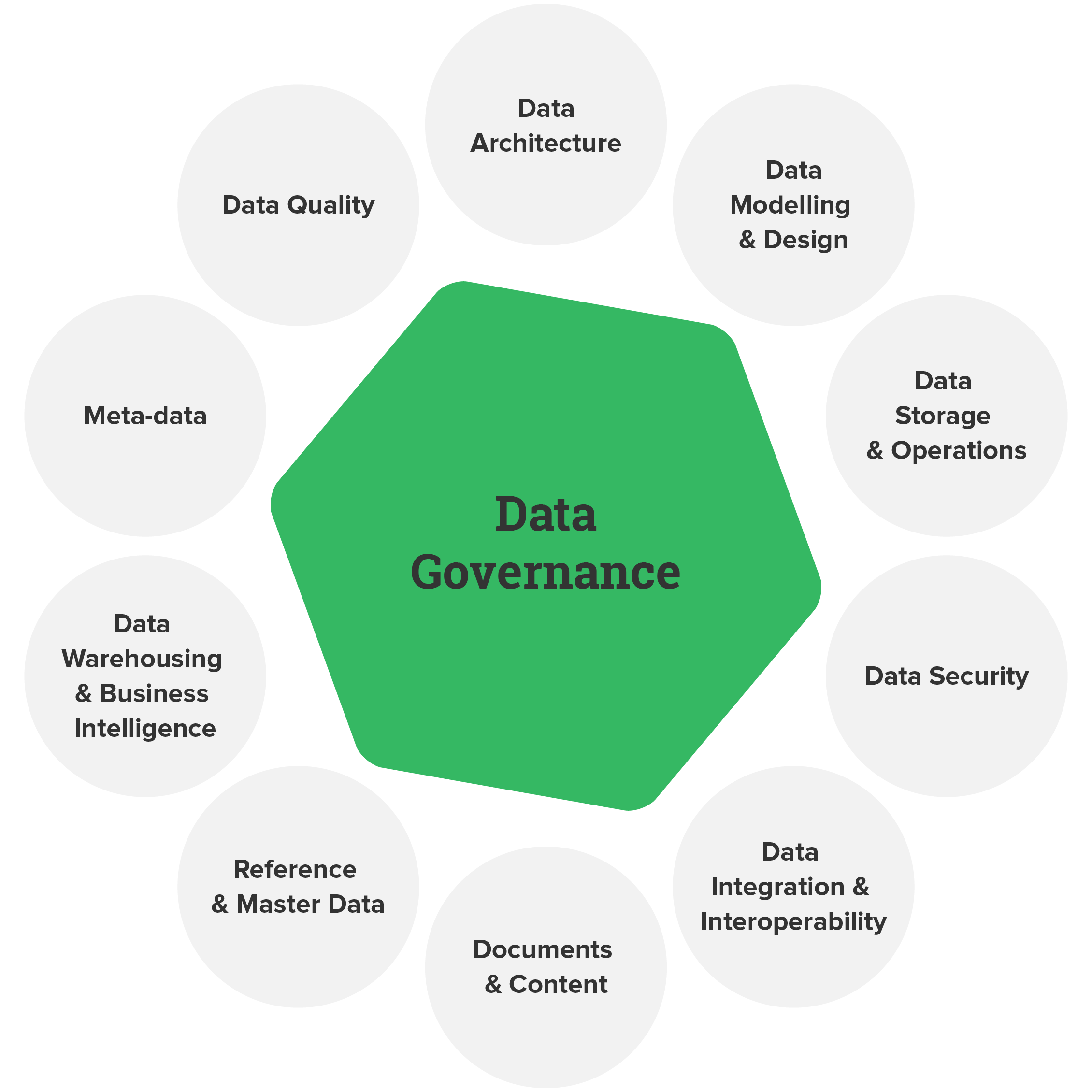data governance case study pdf