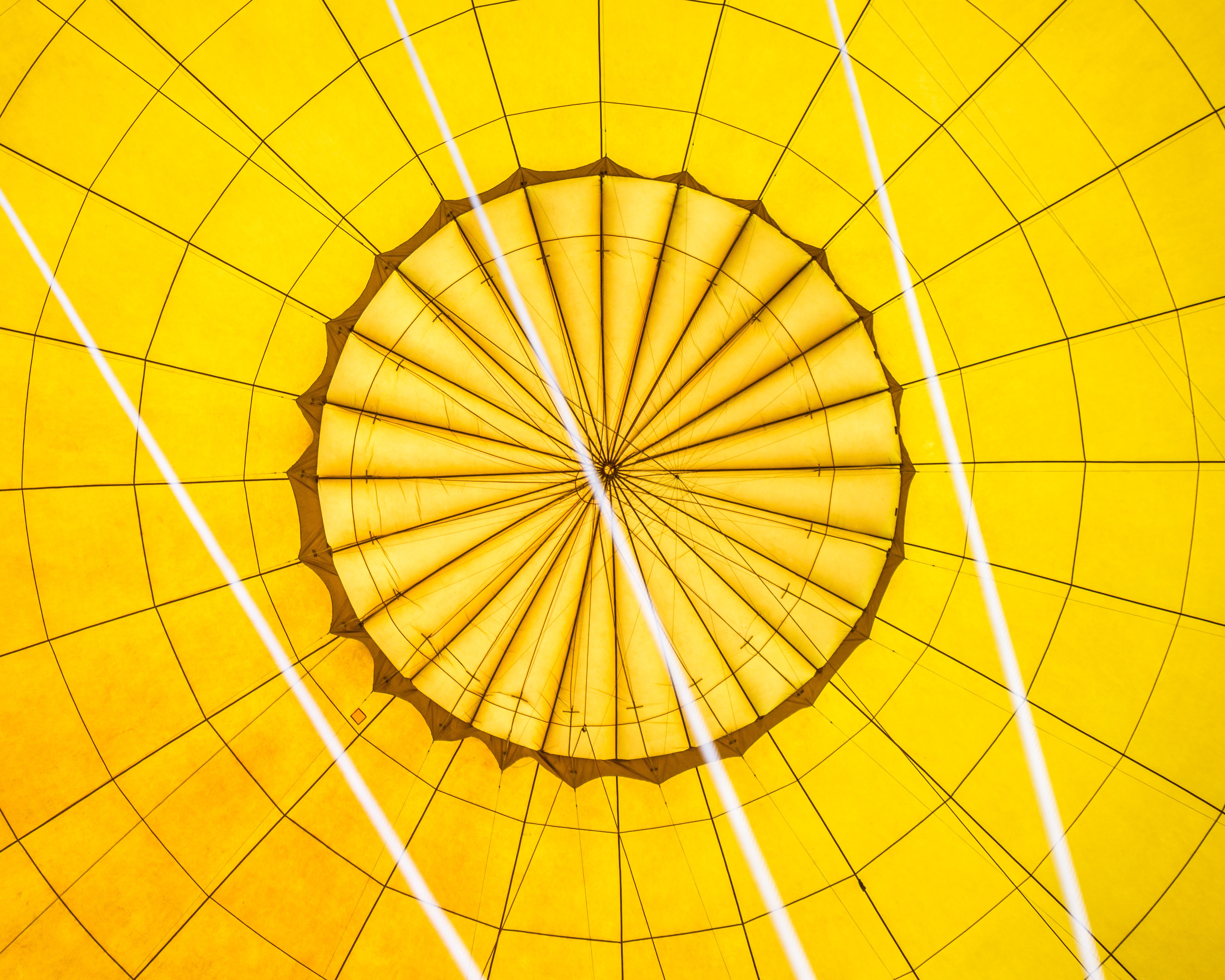 sutirta-budiman-DzDSvdH43ek-unsplash